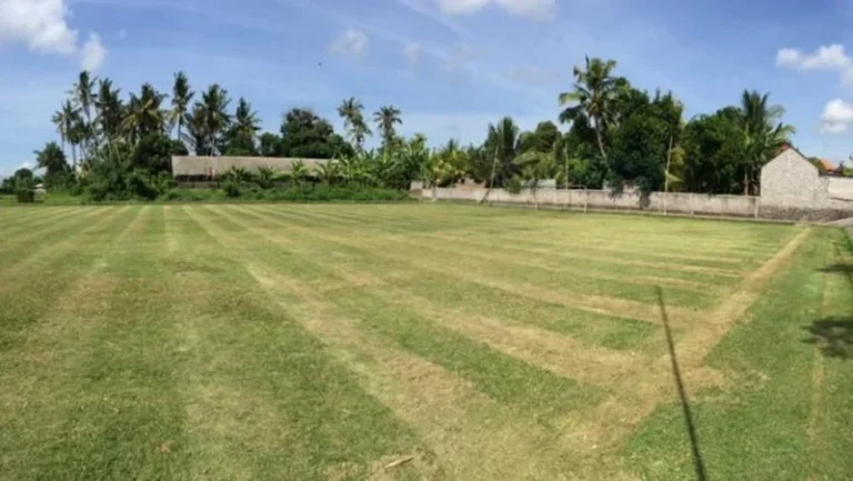 Collector Lapangan (Gianyar)