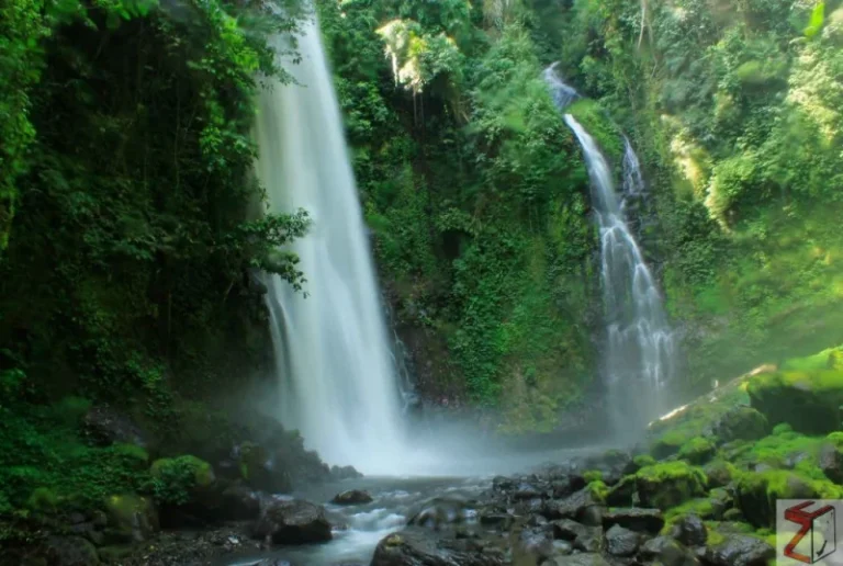 Field Collection di Manado, Minahasa, Bitung, Tomohon